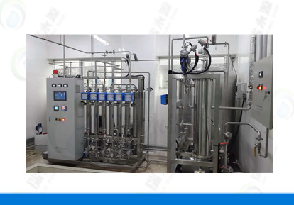 纯化水设备 RYY-PWDRO-1t/h